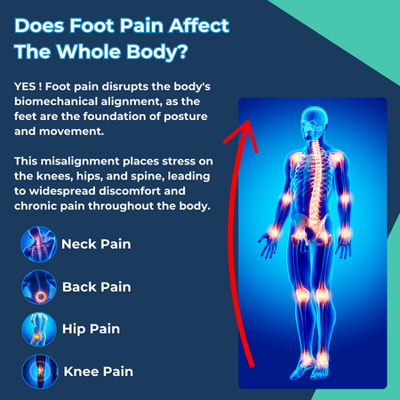 OrthoClog™ | The UK’s Leading Pain Relief Clogs for Long Workdays